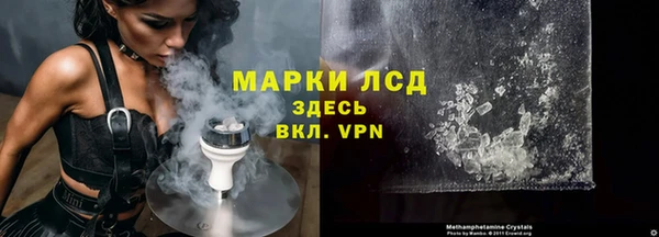 сатива Володарск