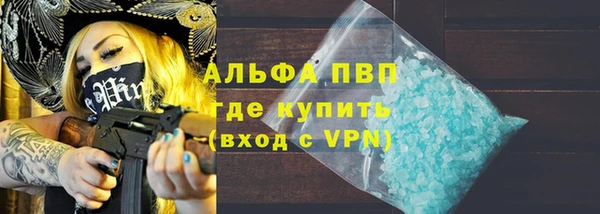 сатива Володарск